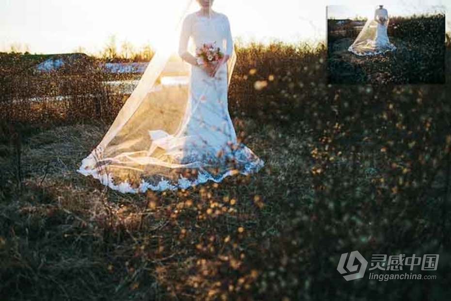 阳光下的婚礼Lightroom预设与Photoshop (xmp)预设 Sunlit Wedding Presets  灵感中国网 www.lingganchina.com