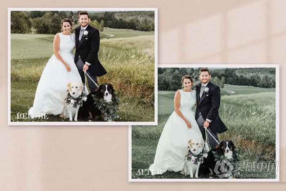 乡村电影胶片婚礼系列Lightroom预设与移动LR预设 Rustic Wedding Collection Preset  灵感中国网 www.lingganchina.com