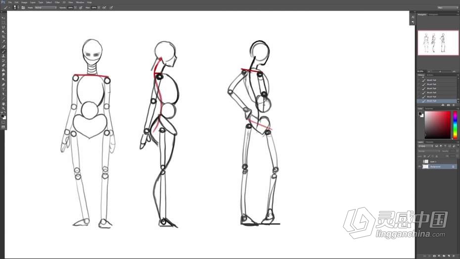 绘画教程 女性身材形象结构剖析数字绘画技术教程  灵感中国网 www.lingganchina.com