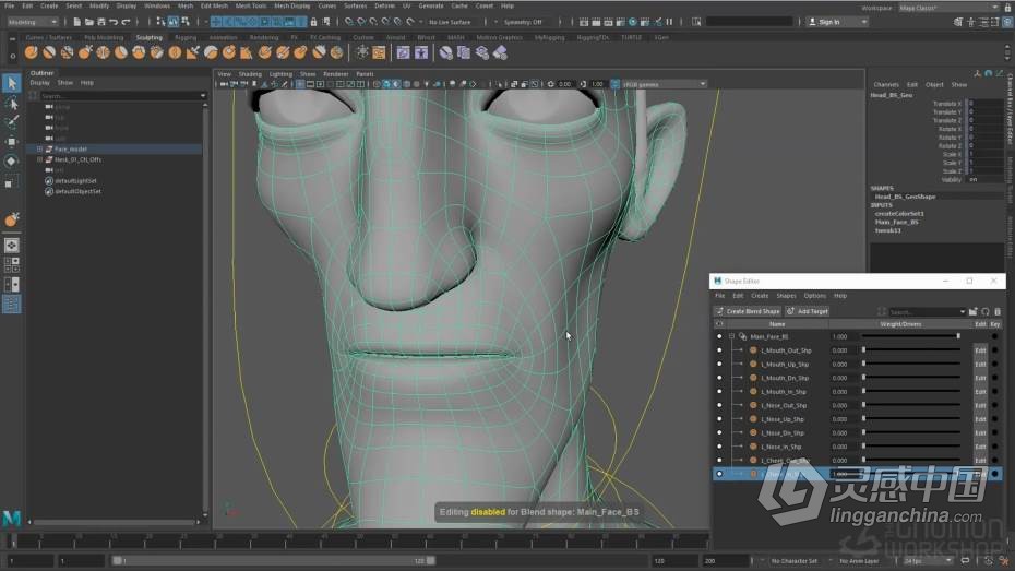 Maya教程 Maya角色面部表情绑定动画大师级视频教程  灵感中国网 www.lingganchina.com