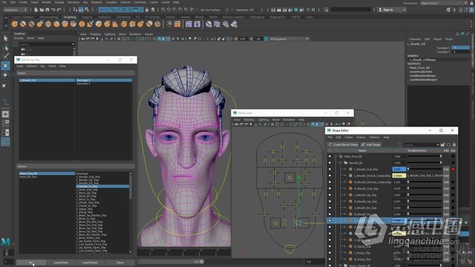 Maya教程 Maya角色面部表情绑定动画大师级视频教程  灵感中国网 www.lingganchina.com