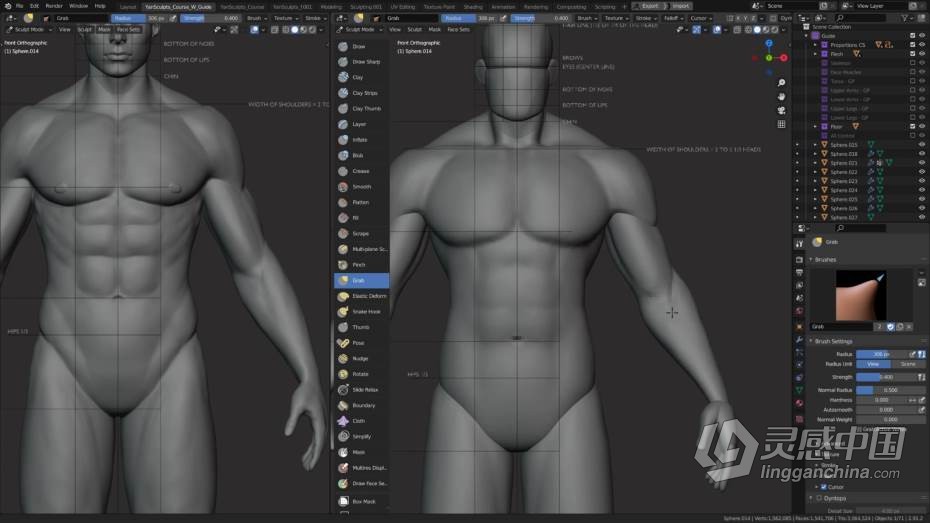 Blender教程 Blender男性人体解剖形态全身造型雕刻技术教程  灵感中国网 www.lingganchina.com