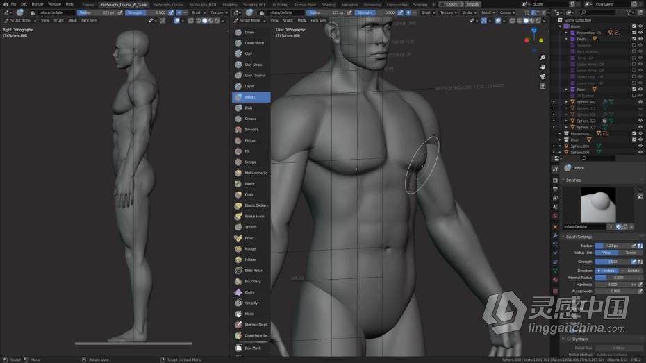 Blender教程 Blender男性人体解剖形态全身造型雕刻技术教程  灵感中国网 www.lingganchina.com