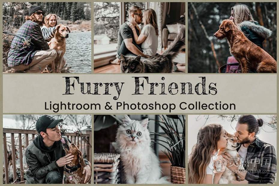 萌宠宠物摄影后期胶片风格Lightroom预设与APP滤镜 Furry Friends Collection  灵感中国网 www.lingganchina.com