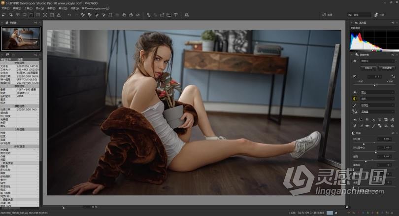 RAW数码照片处理软件 SILKYPIX Developer Studio Pro 10.0.14 中文汉化版 WinX64  灵感中国网 www.lingganchina.com