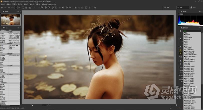 RAW数码照片处理软件 SILKYPIX Developer Studio Pro 10.0.14 中文汉化版 WinX64  灵感中国网 www.lingganchina.com