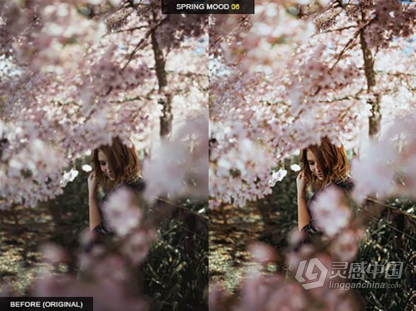 春季柔和哑光情绪人像后期Lightroom预设 Spring Mood Lightroom Presets  灵感中国网 www.lingganchina.com