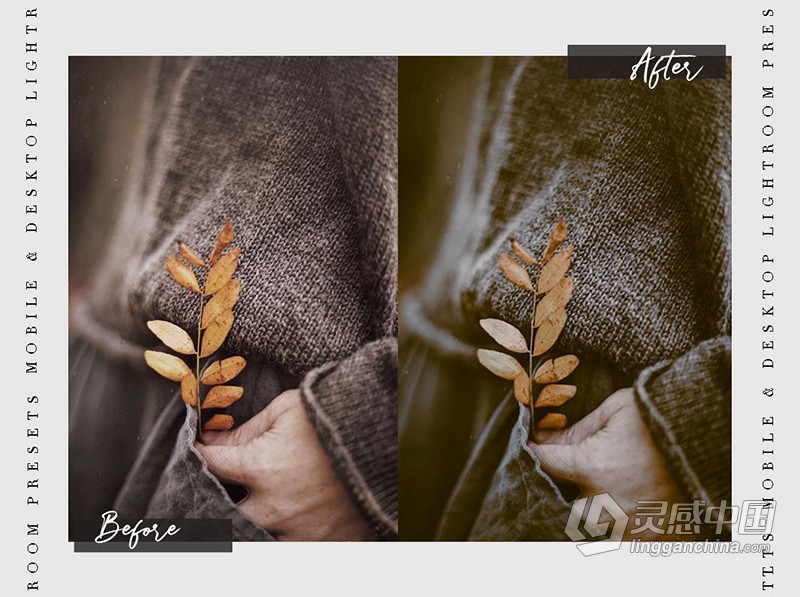 喜怒无常情绪故事胶片人像Lightroom 预设APP预设 MOODY TALE Lightroom Presets  灵感中国网 www.lingganchina.com