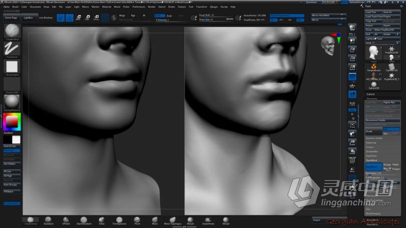 Zbrush教程 Zbrush超精细角色面部雕刻大师级视频教程  灵感中国网 www.lingganchina.com