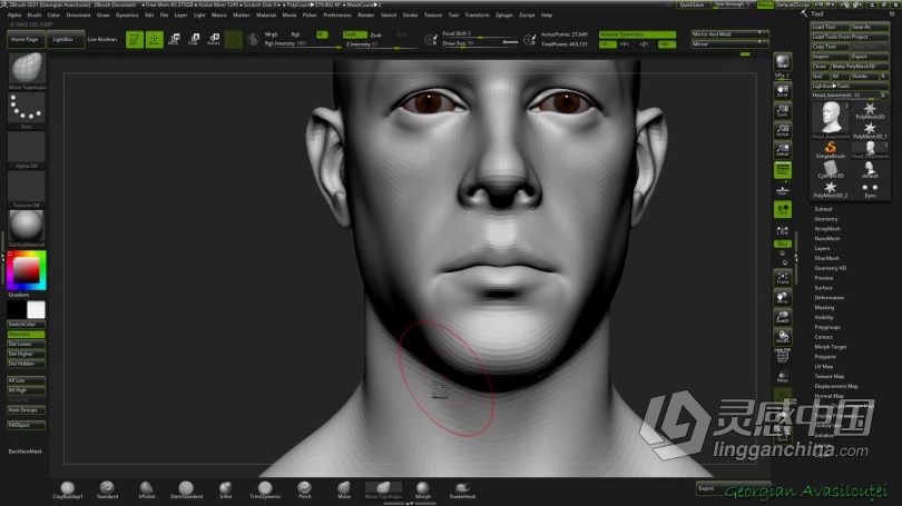 Zbrush教程 Zbrush超精细角色面部雕刻大师级视频教程  灵感中国网 www.lingganchina.com