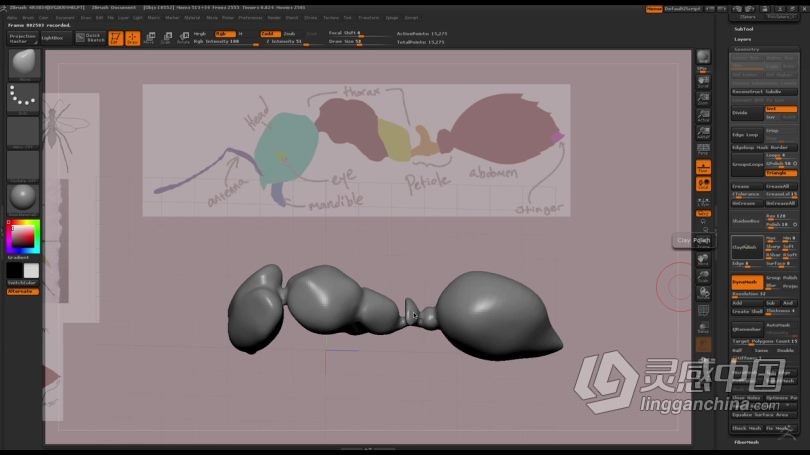 Zbrush教程 Zbrush超写实昆虫设计完整制作流程视频教程  灵感中国网 www.lingganchina.com