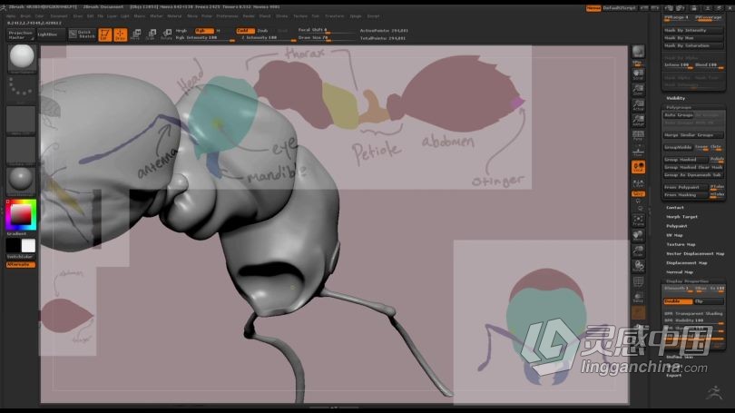 Zbrush教程 Zbrush超写实昆虫设计完整制作流程视频教程  灵感中国网 www.lingganchina.com