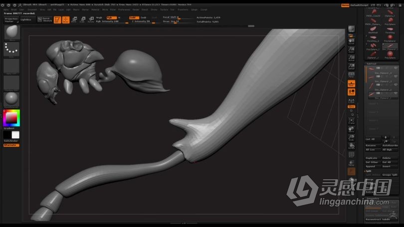 Zbrush教程 Zbrush超写实昆虫设计完整制作流程视频教程  灵感中国网 www.lingganchina.com