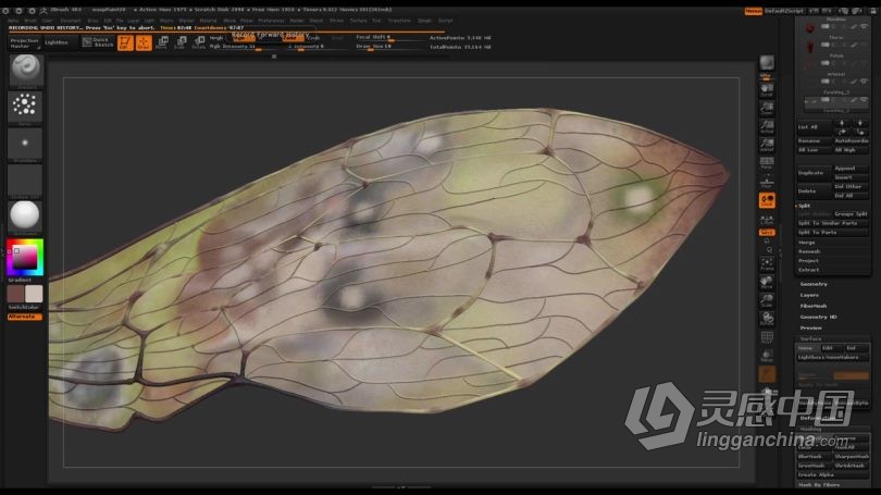 Zbrush教程 Zbrush超写实昆虫设计完整制作流程视频教程  灵感中国网 www.lingganchina.com