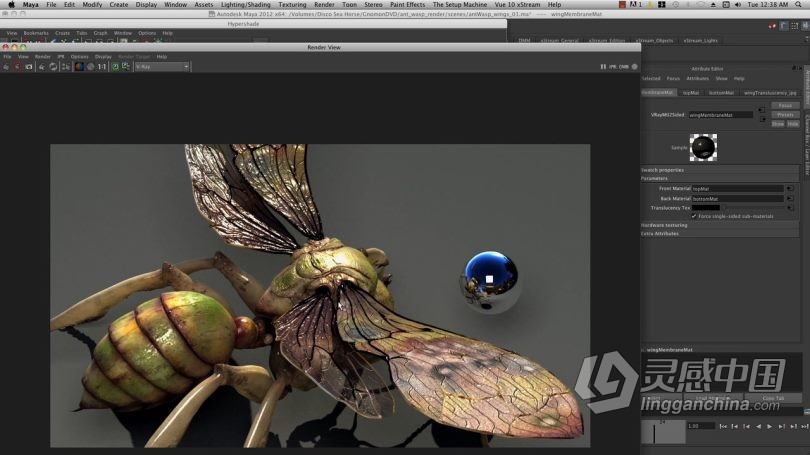 Zbrush教程 Zbrush超写实昆虫设计完整制作流程视频教程  灵感中国网 www.lingganchina.com