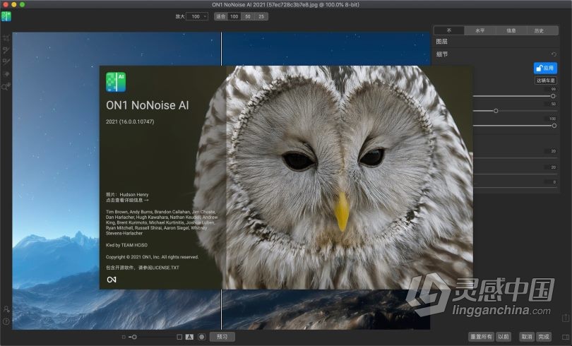 智能AI摄影降噪插件 ON1 NoNoise AI 2021 for mac V16.0.0.10747中文版  灵感中国网 www.lingganchina.com