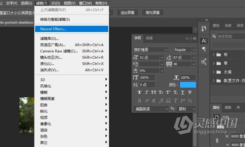 Photoshop 2021神经滤镜Neural Filters离线安装包下载 WIN / MAC（适用于PS 2021版本22.3.X/22.4.X）  灵感中国网 www.lingganchina.com