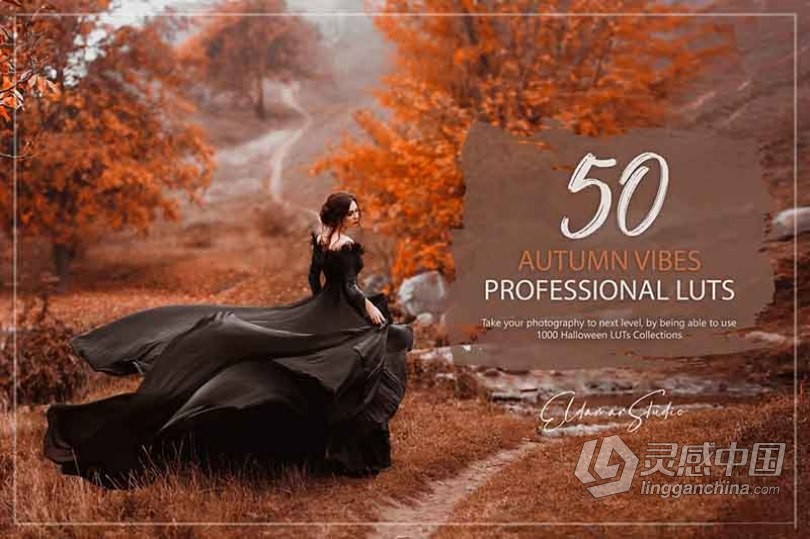 50个秋季电影色调LUT预设及Lightroom预设 50 Autumn Vibes LUTs and Presets Pack  灵感中国网 www.lingganchina.com