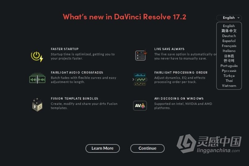 DaVinci Resolve 达芬奇17调色软件 DaVinci Resolve Studio 17.2.2 WIN中文版  灵感中国网 www.lingganchina.com