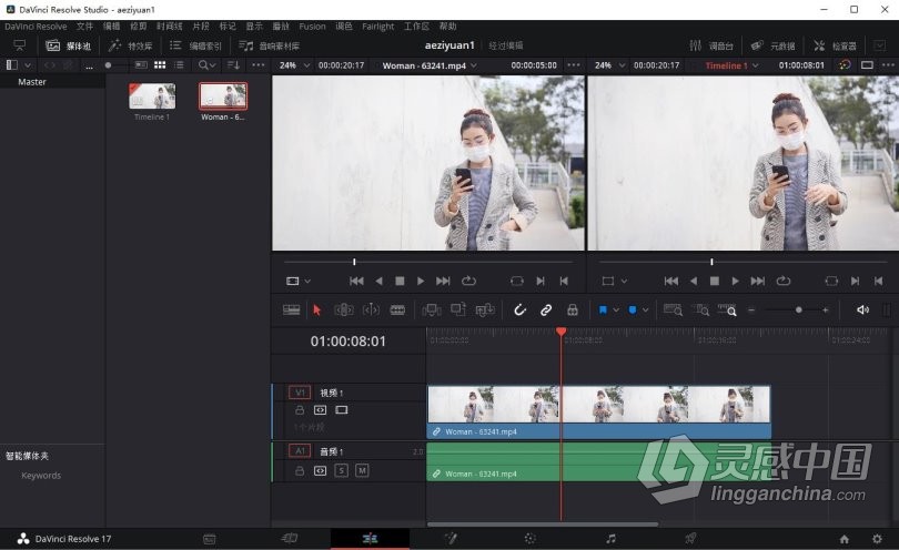 DaVinci Resolve 达芬奇17调色软件 DaVinci Resolve Studio 17.2.2 WIN中文版  灵感中国网 www.lingganchina.com