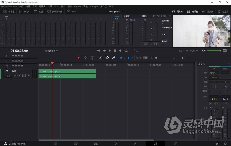 DaVinci Resolve 达芬奇17调色软件 DaVinci Resolve Studio 17.2.2 WIN中文版  灵感中国网 www.lingganchina.com