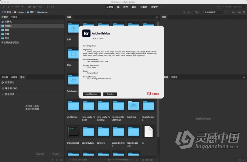 Adobe Bridge 2021 v11.0 Mac BR 2021中英文破解版下载  灵感中国网 www.lingganchina.com