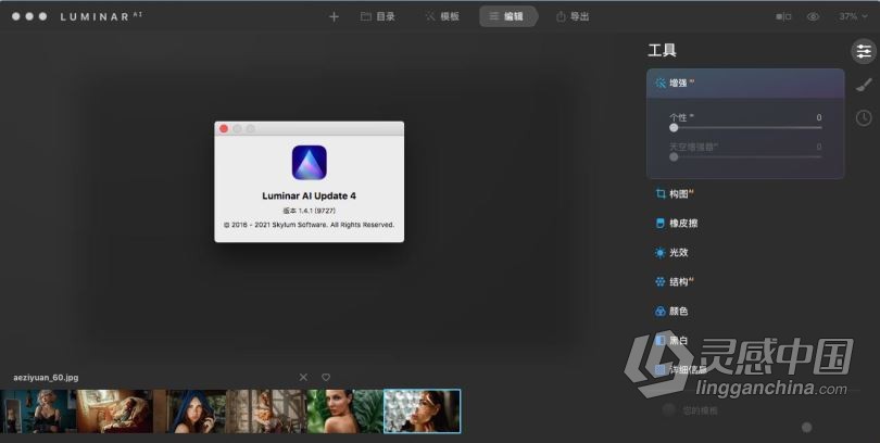 Luminar AI 1.4.1 for MAC中英文版|AI人工智能照片编辑修图PS插件Luminar AI for mac v1.4.1.9727中英文版  灵感中国网 www.lingganchina.com