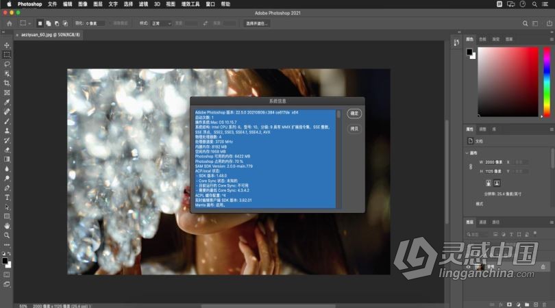 PS 2021.22.5+ Neural Filters MAC正式版 Adobe Photoshop 2021.22.5 MAC系统一键安装完整版  灵感中国网 www.lingganchina.com