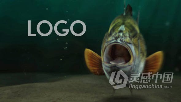 AE模板 深海水下泡沫鱼冲过转场展示LOGO动画钓鱼开场 AE工程 AE文件  灵感中国网 www.lingganchina.com