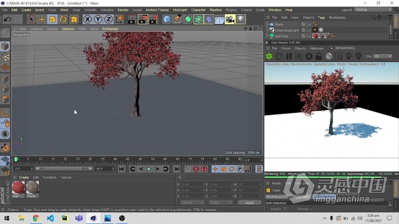 C4D与Octane逼真自然树场景实例制作视频教程 How to make an Easy Realistic Nature Tree Scene in Cin  灵感中国网 www.lingganchina.com