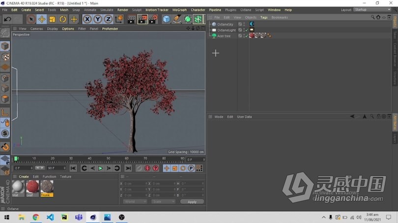 C4D与Octane逼真自然树场景实例制作视频教程 How to make an Easy Realistic Nature Tree Scene in Cin  灵感中国网 www.lingganchina.com