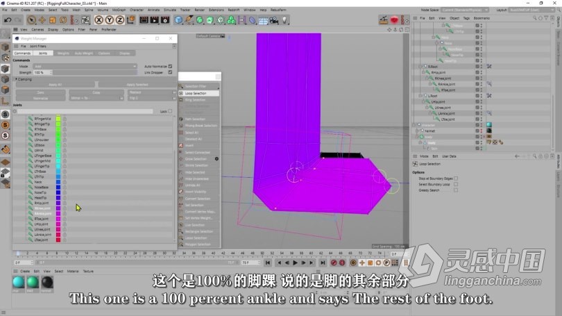 Cinema 4D角色绑定动画基础入门训练视频教程 中文字幕  灵感中国网 www.lingganchina.com