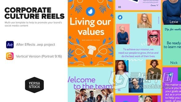AE模板 现代干净利落风格竖屏垂直版企业文化介绍公司业务宣传展示 AE工程 AE文件  灵感中国网 www.lingganchina.com