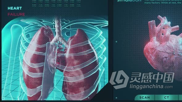 视频素材 HUD信息图心力衰竭功能心脏病疾病医学医疗保健系统屏幕全息概念视频素材下载  灵感中国网 www.lingganchina.com