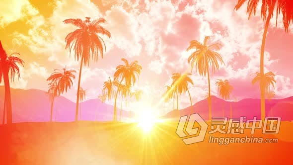 视频素材 五颜六色棕榈树夏季风景背景VJ素材视频素材下载  灵感中国网 www.lingganchina.com