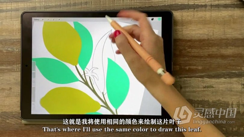 绘画教程 IPAD上卡通矢量平面图形创建数字绘画视频教程 中文字幕  灵感中国网 www.lingganchina.com
