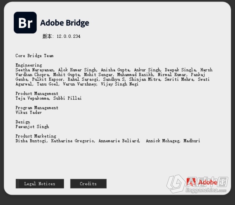 Br 2022正式版 Adobe Bridge 2022 12.0.0.234 ACR14.0 Win x64系统一键安装完整版  灵感中国网 www.lingganchina.com