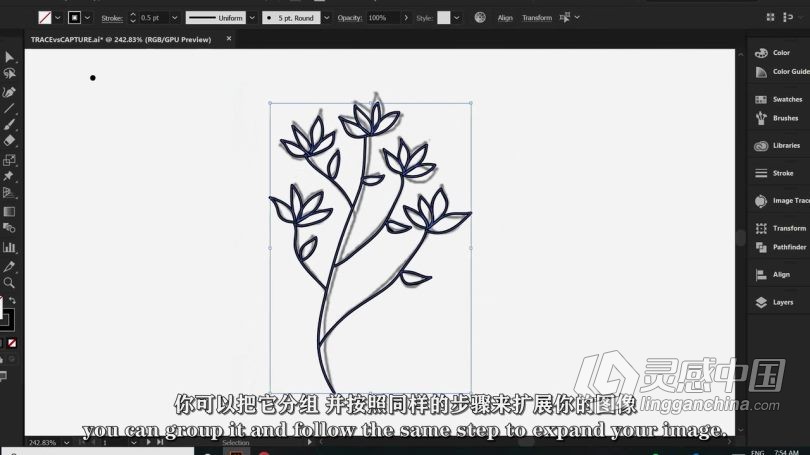 Ai教程 Illustrator初学者花卉植物重复图案平面插图设计视频教程 中文字幕  灵感中国网 www.lingganchina.com