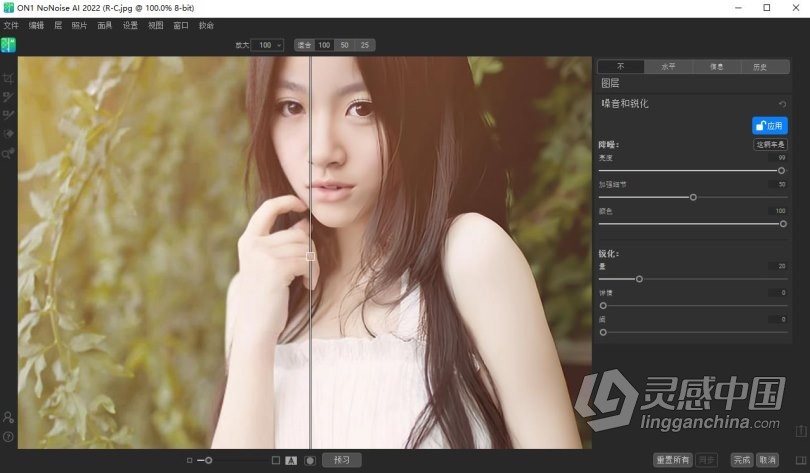 ON1 NoNoise AI 2022 WIN中文版 最好的降噪软件 ON1 NoNoise AI 2022 v16.0.1.11291 WIN中文版下载 支持  灵感中国网 www.lingganchina.com