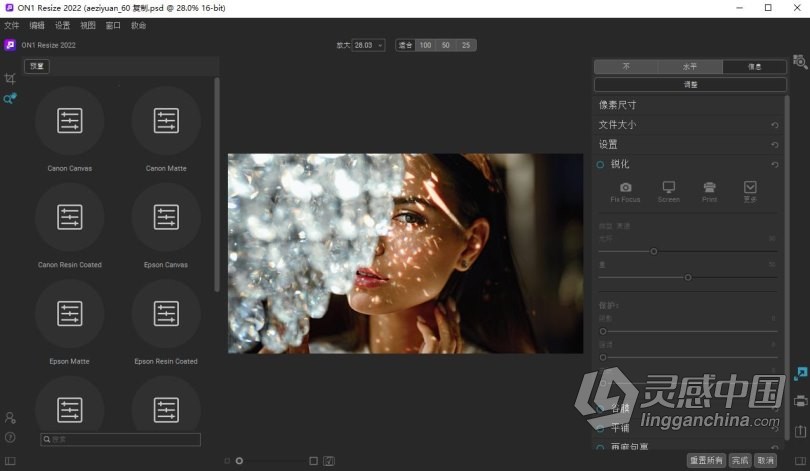 ON1 Resize 2022 WIN中文版 行业标准图像放大工具 ON1 Resize 2022 v16.0.1.11291 WIN中文版下载 支持PS202  灵感中国网 www.lingganchina.com