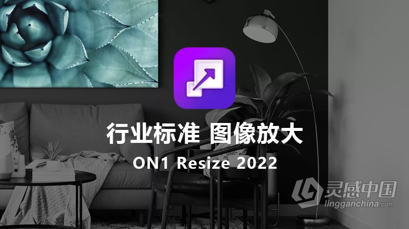 ON1 Resize 2022 WIN中文版 行业标准图像放大工具 ON1 Resize 2022 v16.0.1.11291 WIN中文版下载 支持PS202  灵感中国网 www.lingganchina.com