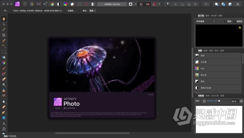 Affinity Photo中英文版 专业图像照片编辑处理软件 Affinity Photo 1.10.4 macOS 中文版 支持原生M1  灵感中国网 www.lingganchina.com