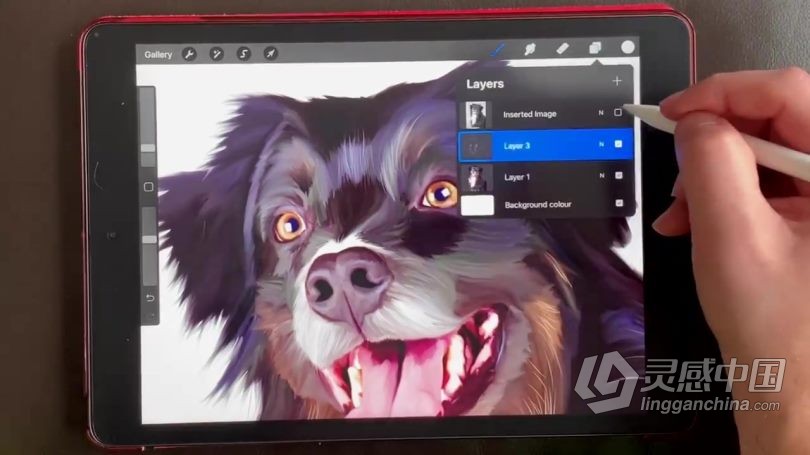 绘画教程 Procreate宠物逼真写实可爱肖像数字绘画视频教程  灵感中国网 www.lingganchina.com