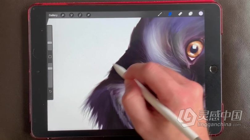 绘画教程 Procreate宠物逼真写实可爱肖像数字绘画视频教程  灵感中国网 www.lingganchina.com