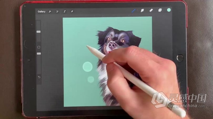 绘画教程 Procreate宠物逼真写实可爱肖像数字绘画视频教程  灵感中国网 www.lingganchina.com