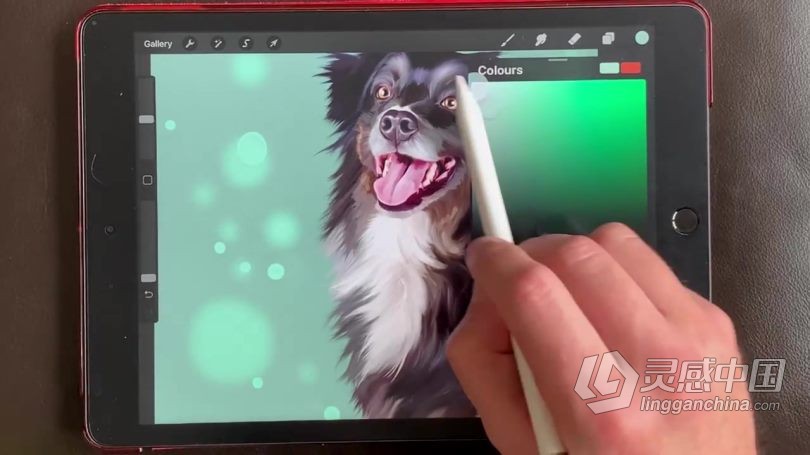 绘画教程 Procreate宠物逼真写实可爱肖像数字绘画视频教程  灵感中国网 www.lingganchina.com