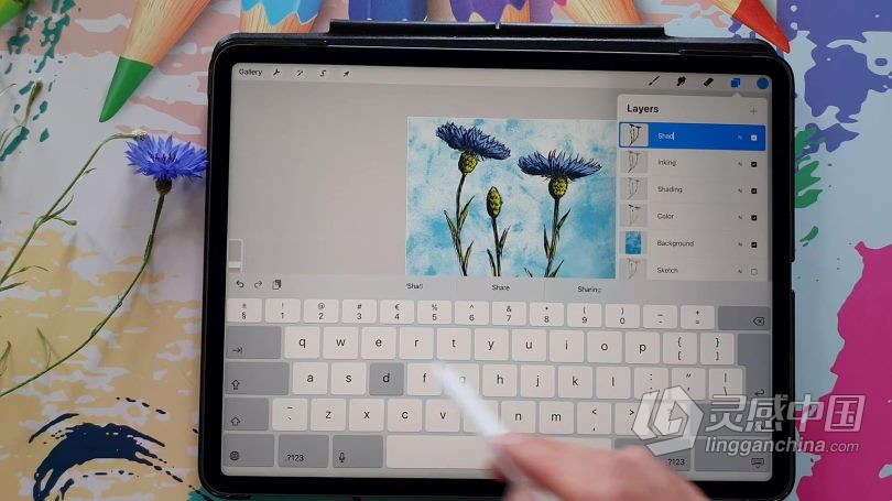 绘画教程 Procreate绘制可爱矢车菊素描涂鸦插画数字绘画视频教程  灵感中国网 www.lingganchina.com