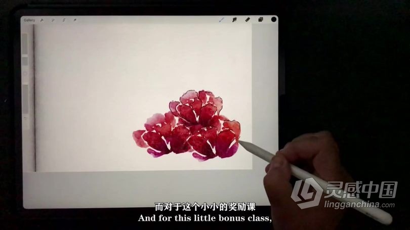 绘画教程 Procreate创建可爱Sketch日志数字绘画视频教程 中文字幕  灵感中国网 www.lingganchina.com