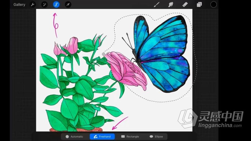 绘画教程 procreate在社交媒体创建水彩画动画插图数字绘画视频教程  灵感中国网 www.lingganchina.com