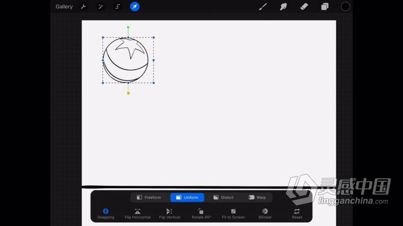 绘画教程 procreate在社交媒体创建水彩画动画插图数字绘画视频教程  灵感中国网 www.lingganchina.com